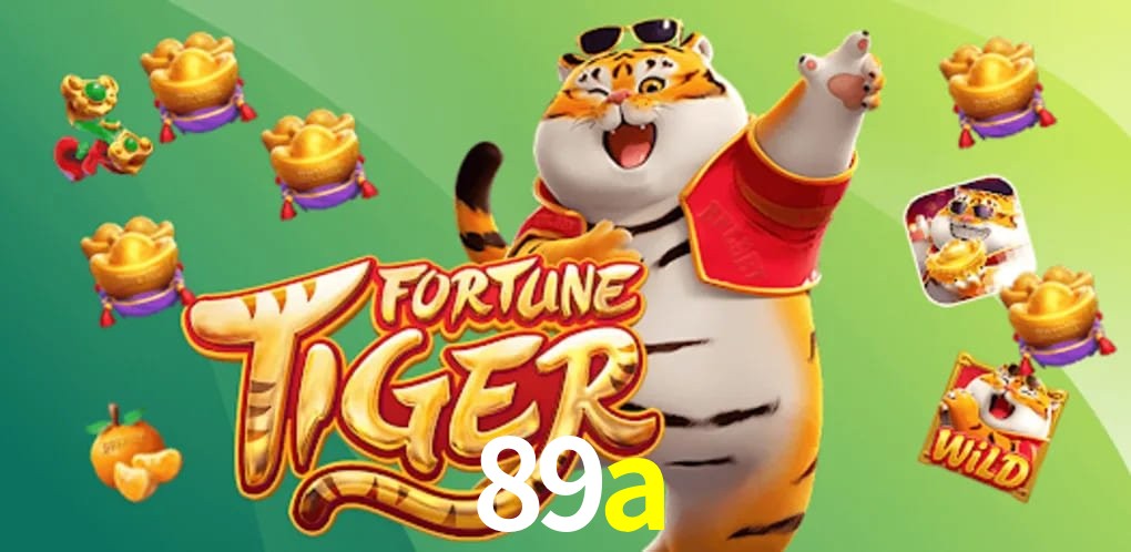 Experiência VIP 89a